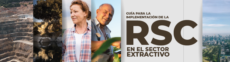 Guía RSC